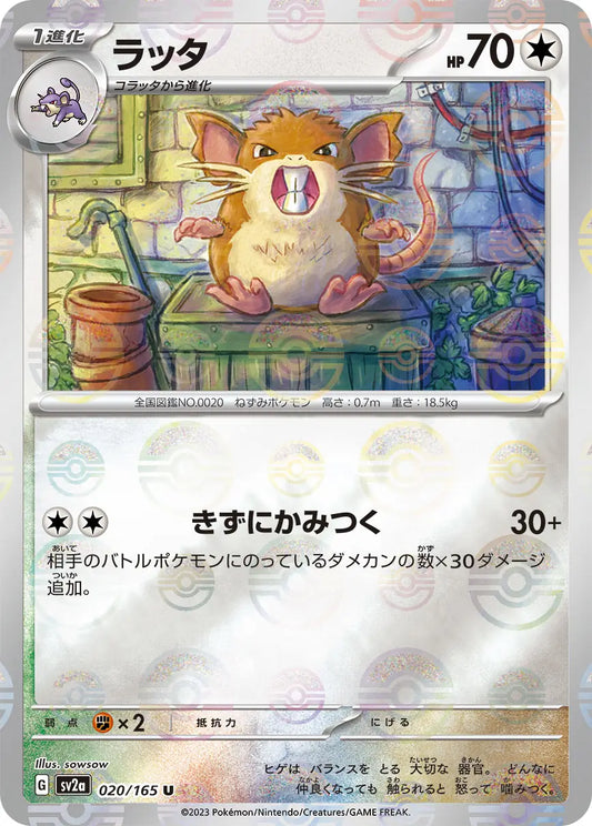 Pokemon TCG Japanese - Raticate Reverse Holo 020/165